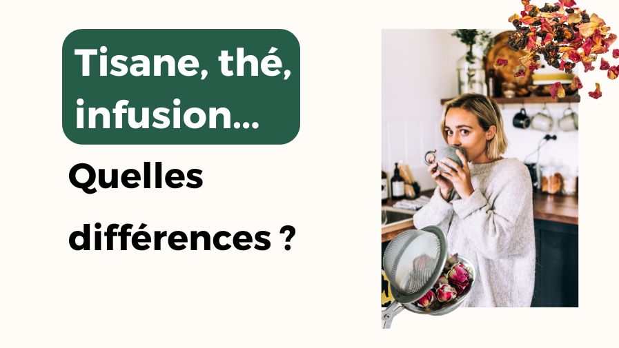Quelles sont les différences entre thé, infusion ou tisane ?