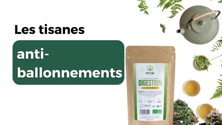 Les meilleures tisanes anti-ballonnement : stop aux gaz intestinaux