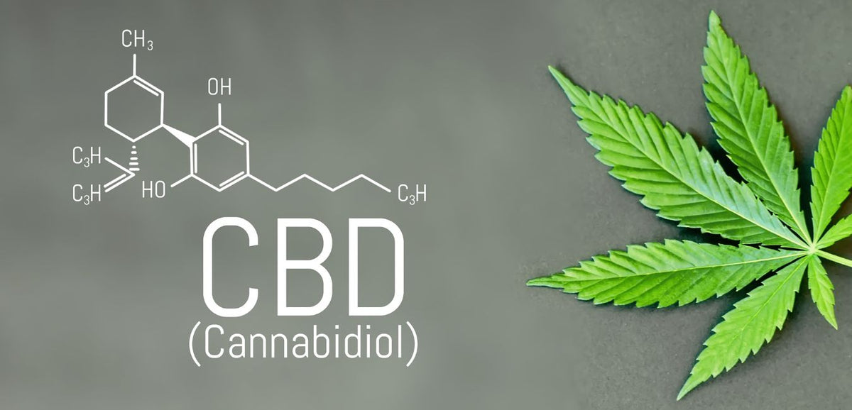Le CBD peut-il entraîner une accoutumance ?