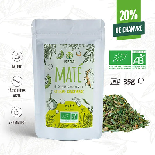 MATÉ CBD BIO : CITRON GINGEMBRE 20% CHANVRE