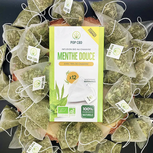 INFUSION MENTHE CBD 70% EN SACHET PYRAMIDE