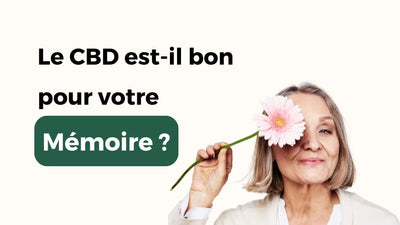 Le CBD améliore-t-il la mémoire ? Découvrez ses effets.