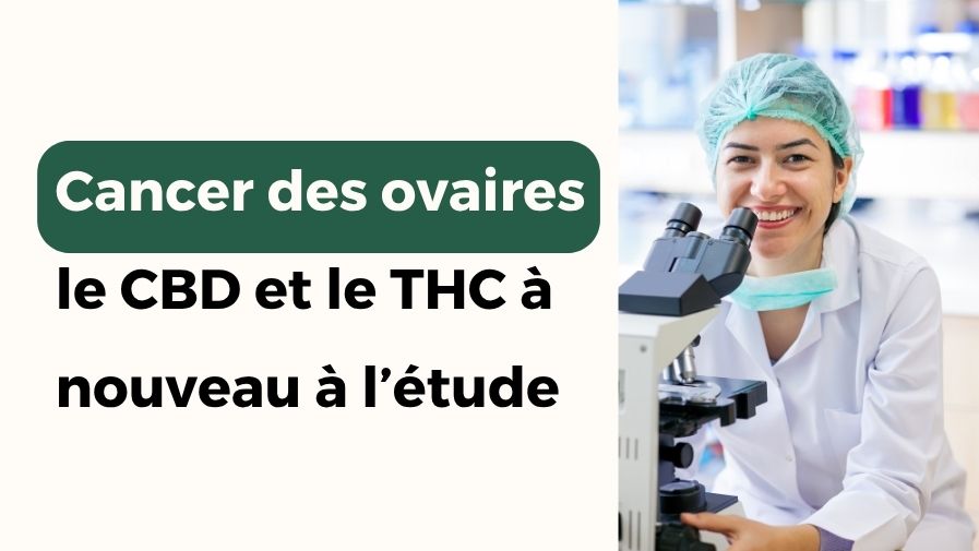 Cancer de l'ovaire : Une combinaison CBD THC prometteuse lors de tests in vitro
