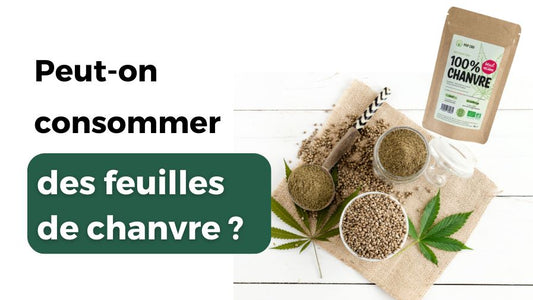 feuille de chanvre à consommer