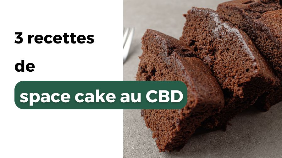 Space cake : 3 recettes de gâteaux au CBD