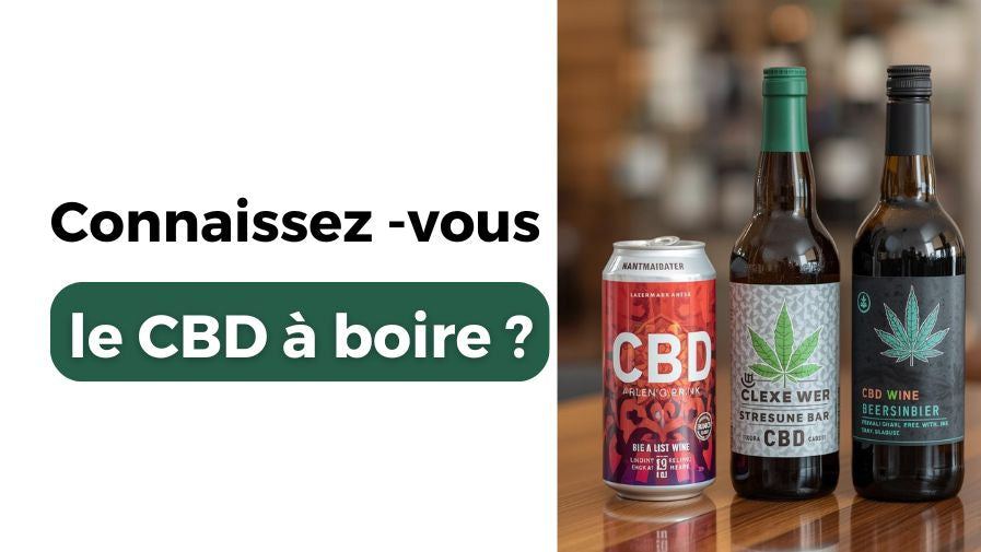 CBD à boire : les boissons au CBD à connaître