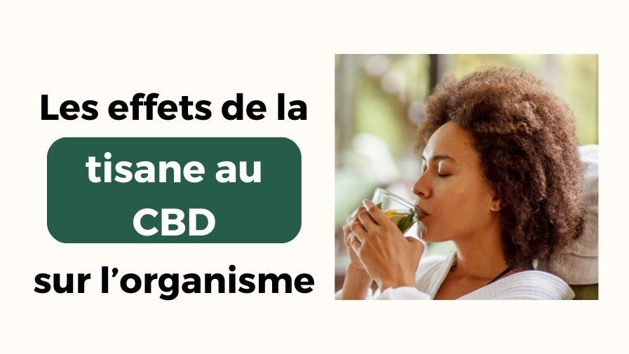 6 effets de la tisane au CBD