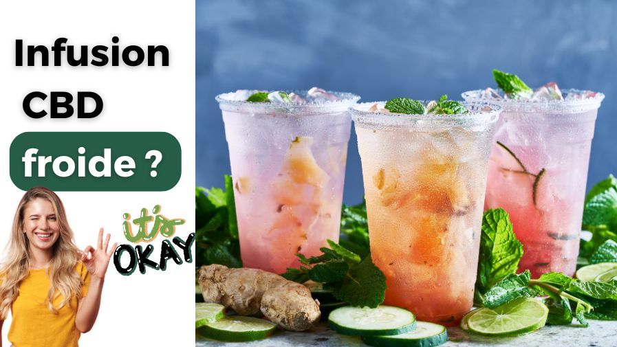Infusion Froide au CBD : Comment la Préparer Maison ?
