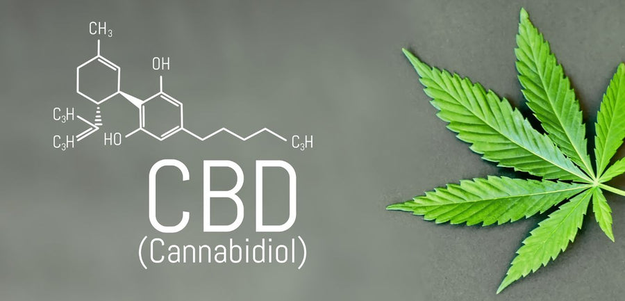Le CBD peut-il entraîner une accoutumance ?