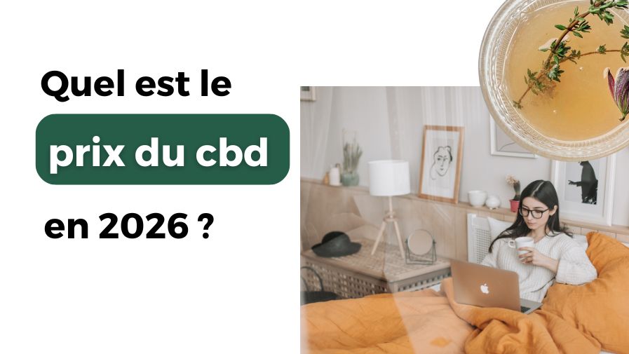Les prix du CBD en 2026 : fleurs, huiles, tisanes…