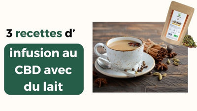 3 recettes d’infusion au CBD avec du lait