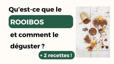 Qu’est-ce que le rooibos et comment le déguster ?