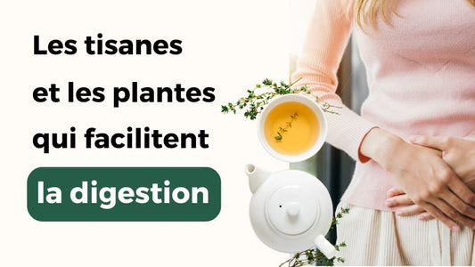 Quelles sont les meilleures tisanes pour la digestion ?