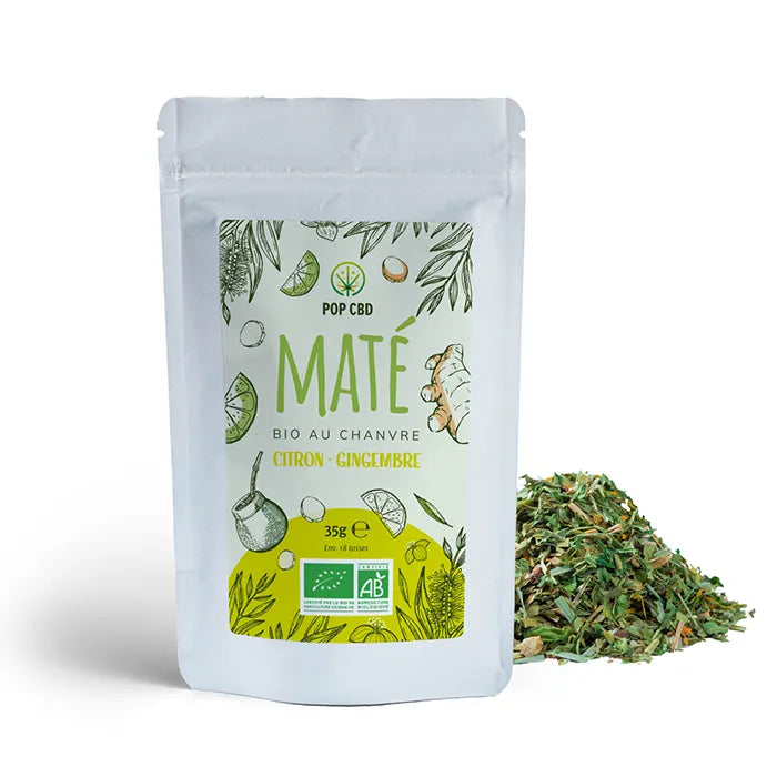 MATÉ CBD BIO : CITRON GINGEMBRE 20% CHANVRE