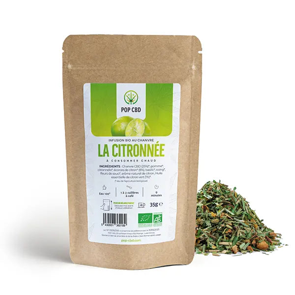 Lot de 3 infusions CBD fruitées