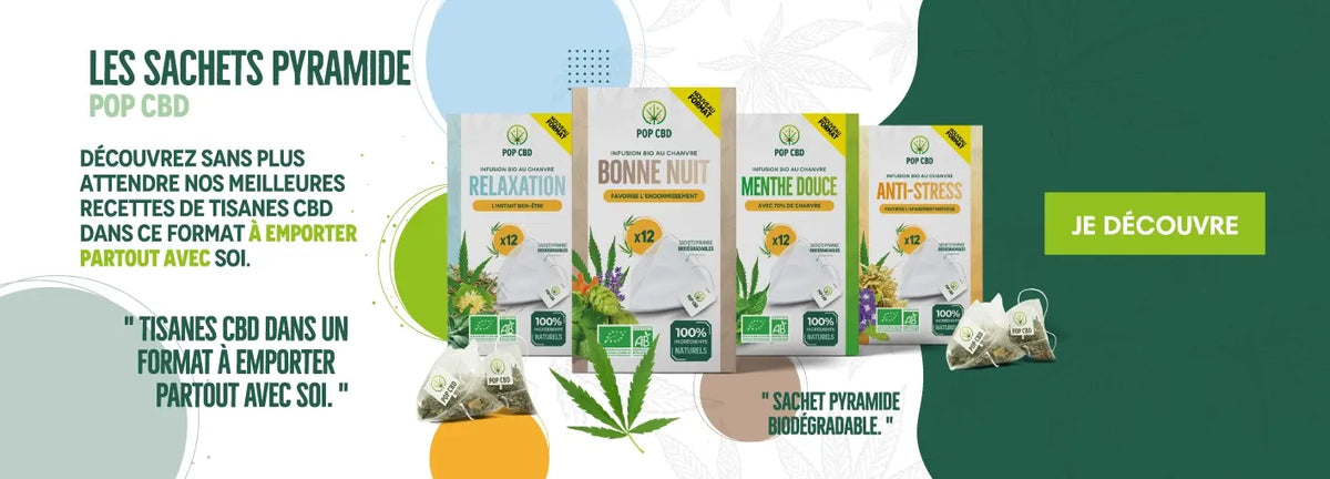 Sachets de tisanes CBD