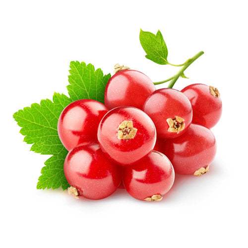 Groseille