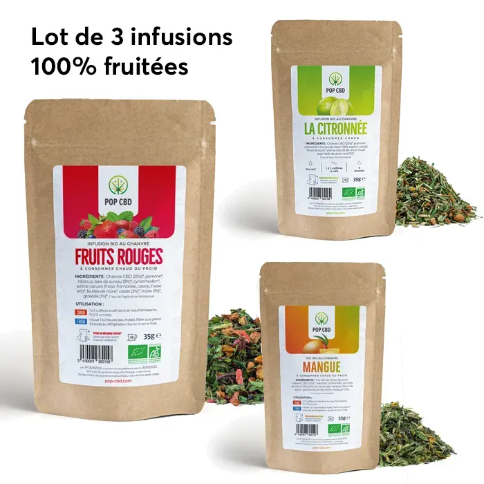 Lot de 3 infusions CBD fruitées