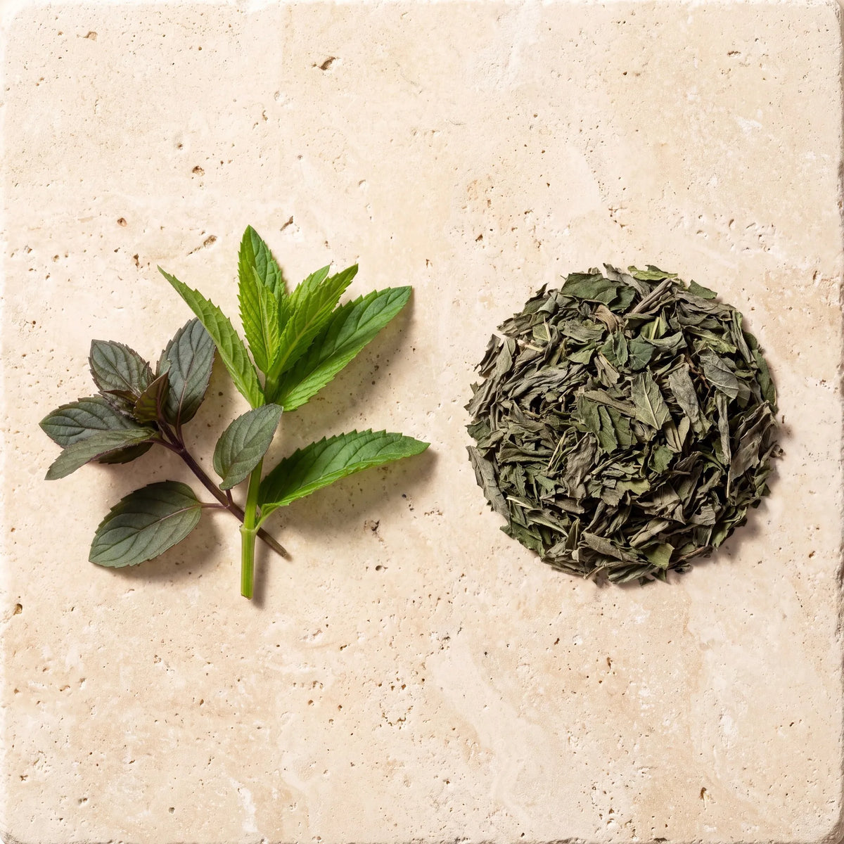Menthe