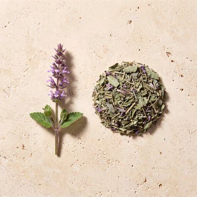 Tulsi