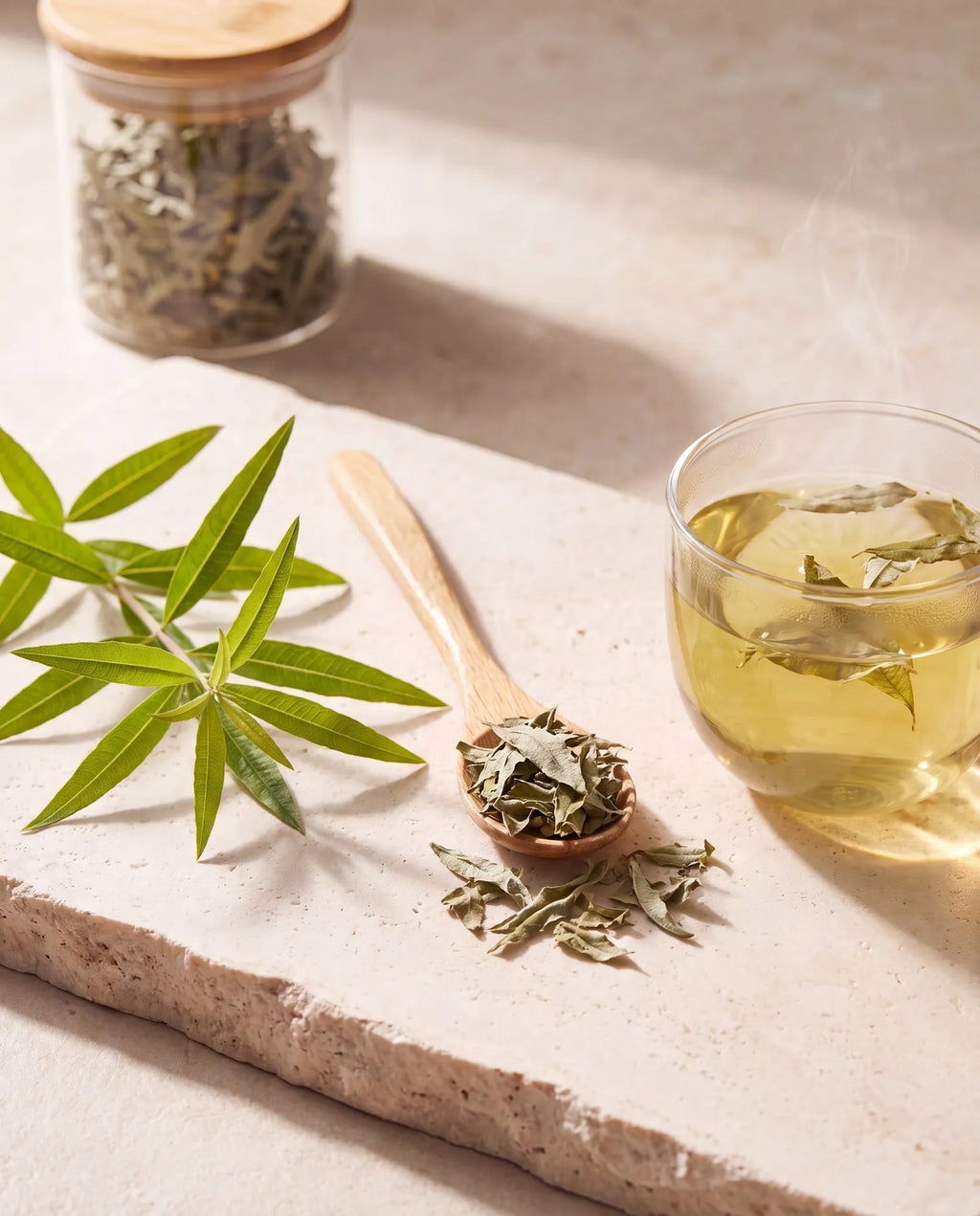 Verveine odorante bio