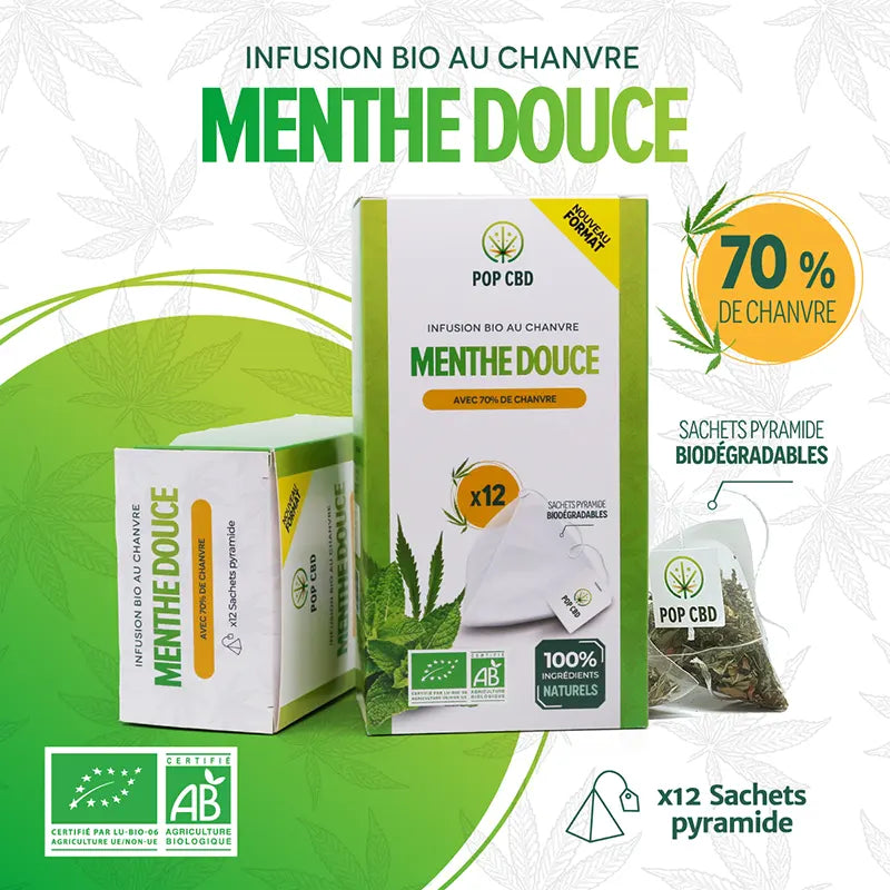 SENSAVEA TISANE CBD puissante MAXI CHANVRE 70% A LA MENTHE