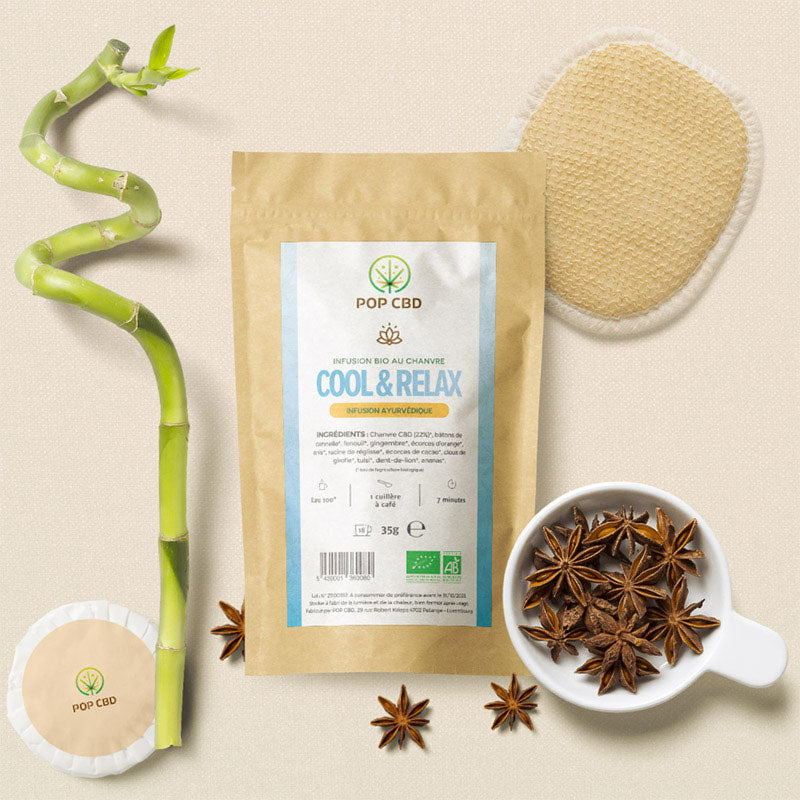 INFUSION CBD BIO : COOL & RELAX