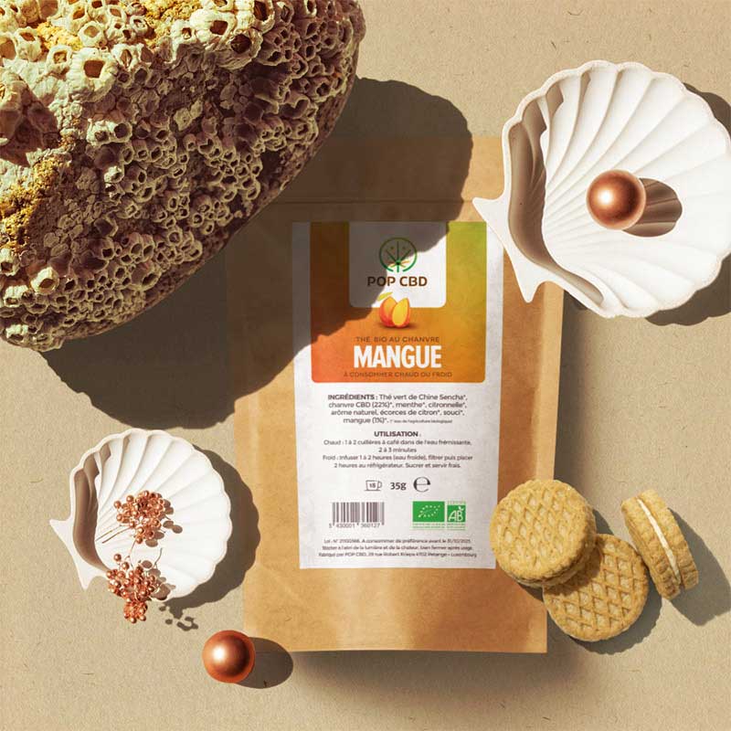 THÉ CBD BIO : MANGUE