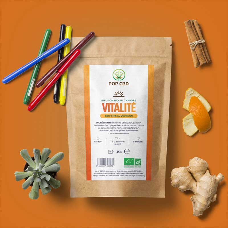 INFUSION CBD BIO : FOCUS & VITALITE